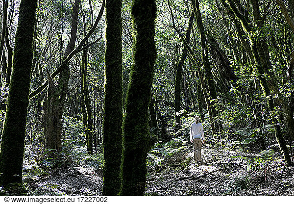 Männlicher Wanderer bei einer Wanderung im Nationalpark Garajonay an einem sonnigen Tag  La Gomera