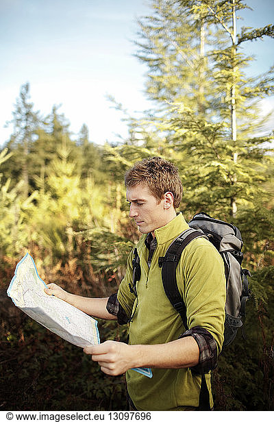 Männlicher Wanderer liest Karte im Wald stehend