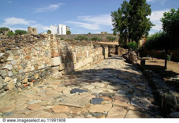 Mérida (Spain). Roman road in the interior of the Arab citadel of Mérida.