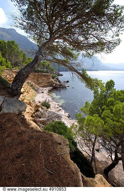 Mütze  Küste  Neuengland  Mallorca  Spanien