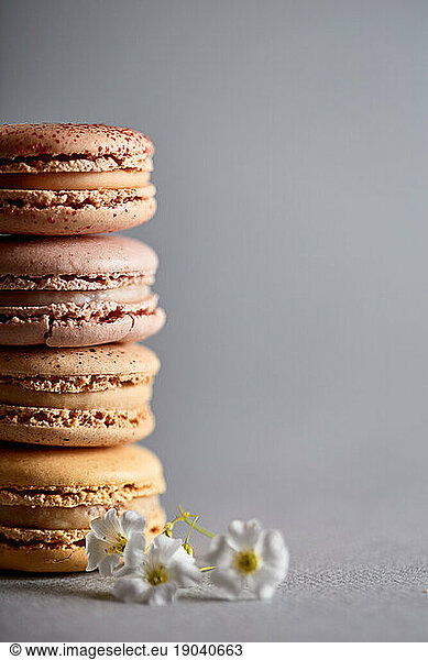 Macarons stacked with white flowers in front