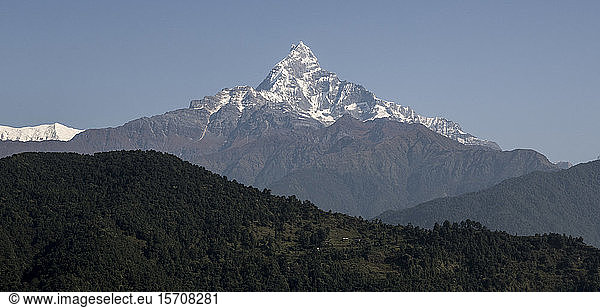 Machapuchare  Dhaulagiri Circuit Trek  Himalaya  Nepal