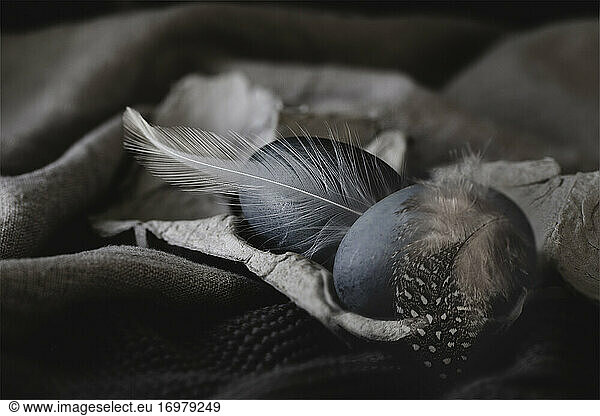 Macro of dark blue eggs still life with feathers on linen