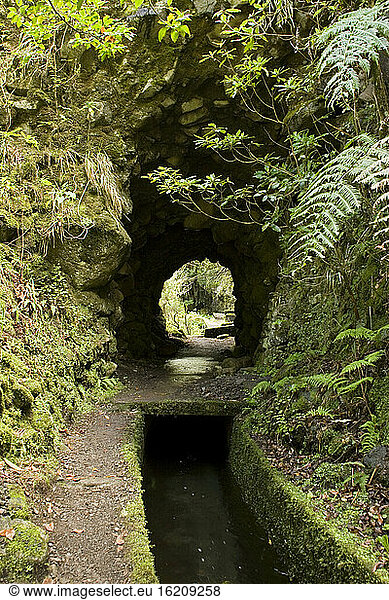Madeira  Portugal  Levada traditional Canal irrigation