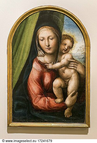 Madonna mit Kind  Madonna col Bambino  ca. 1526-1527  Maler Giovanni Antonio Bazzi genannt Sodoma  Museo dell' Opera Metropolitana  Siena  Toskana  Italien  Europa