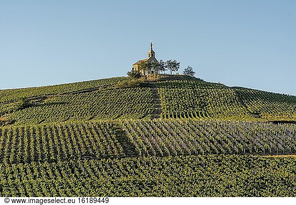 Madonnenkapelle auf dem Beaujolais Weinberg  Fleurie  Rhone-Departement  Auvergne-Rhône-Alpes  Frankreich  Europa
