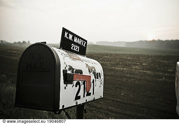 Mailbox decorated with cows overlooking the field of a family run dairy farm in Keymar  Maryland.
