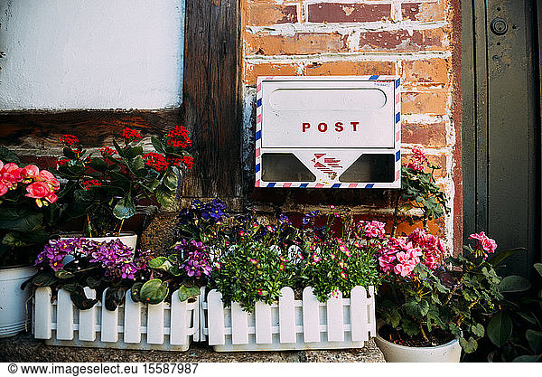Mailbox  flower boxes and potted plants in front of a house  Seoul  South Korea.