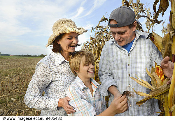 Mais Zuckermais Kukuruz zeigen Sohn Menschliche Eltern Bauer reif