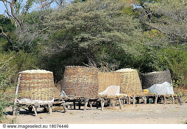 Maize silo  Zambia  Africa