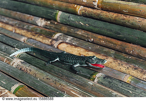 Malaysia  Close-up of toy crocodile lying on bamboo surface