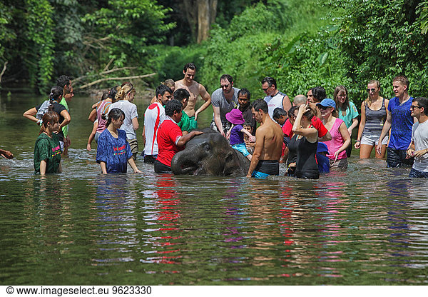Malaysia  Pahang  Temerloh  Kuala Gandah Elefantenschutzzentrum