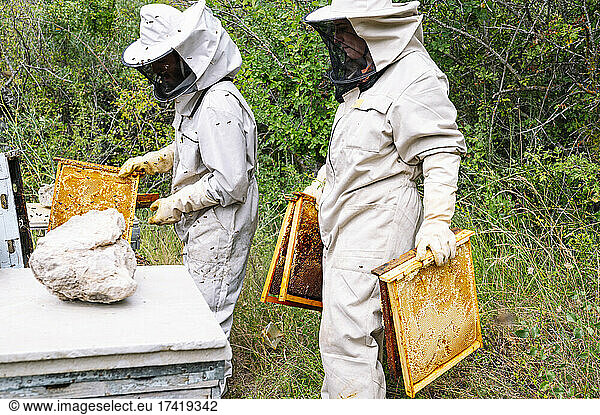Male and female beekeepers working at farm