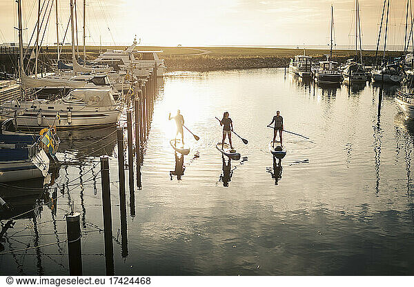 Male and female friends paddleboarding in sea at harbor during sunset