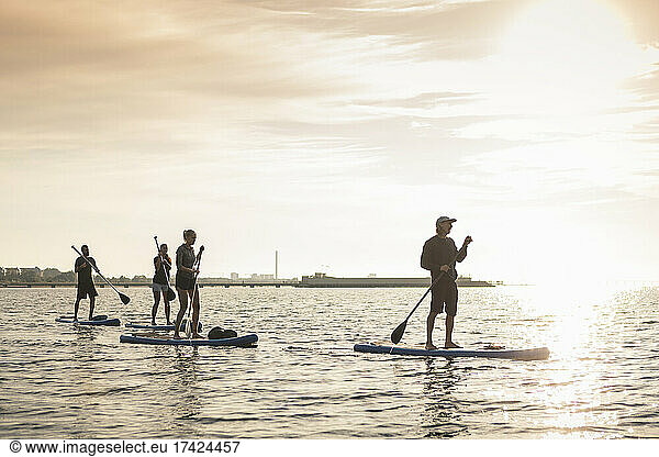 Male and female friends paddleboarding in sea during sunset
