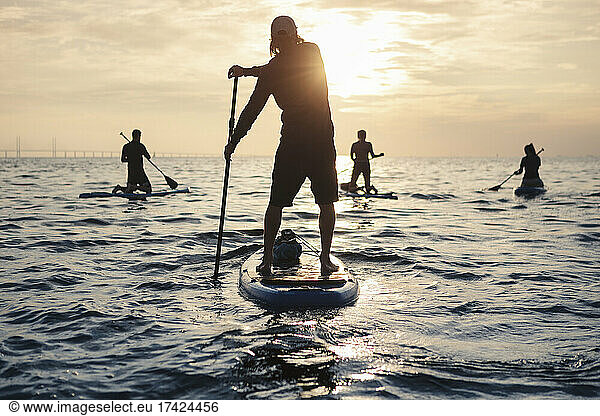 Male and female friends rowing paddleboard in sea during sunset