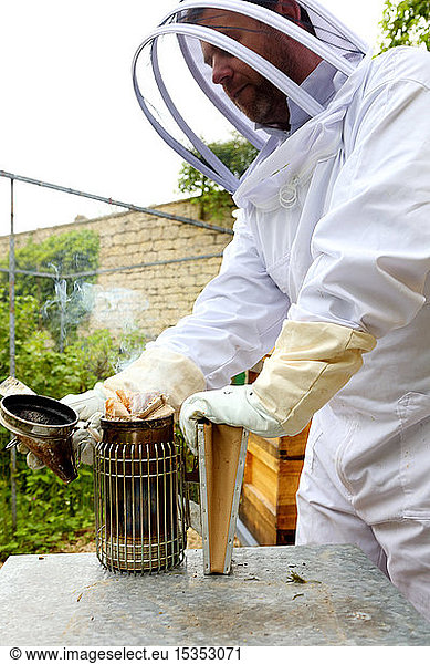 Male beekeeper preparing bee smoker in walled garden
