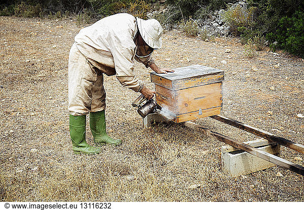 Male beekeeper spraying smoke in wooden beehive at field