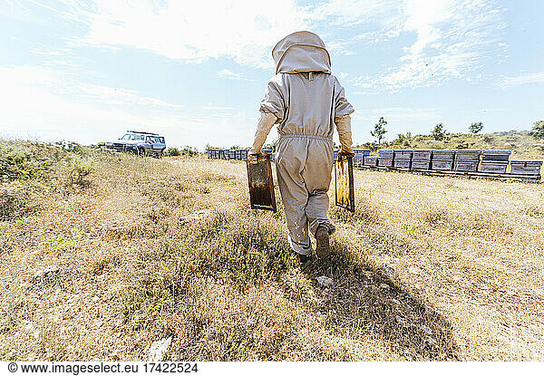 Male beekeeper with beehives walking through farm on sunny day