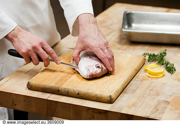 Male chef preparing fish in commercial kitchen