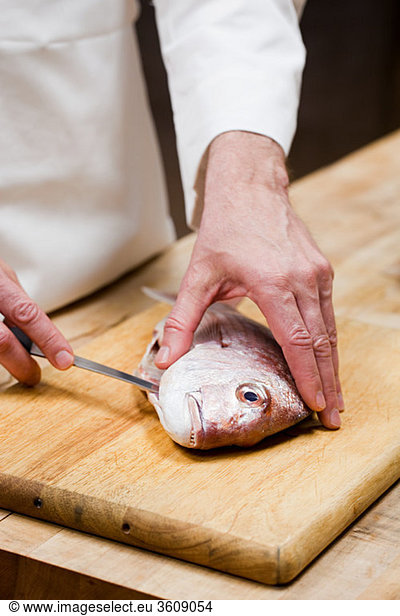 Male chef preparing fish in commercial kitchen