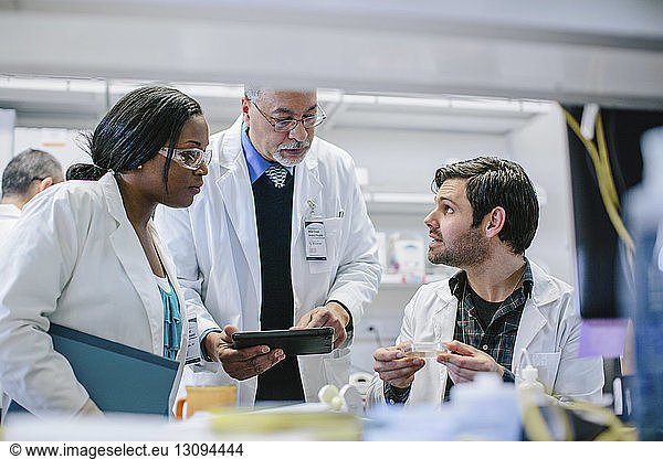Male doctor discussing with coworkers in hospital