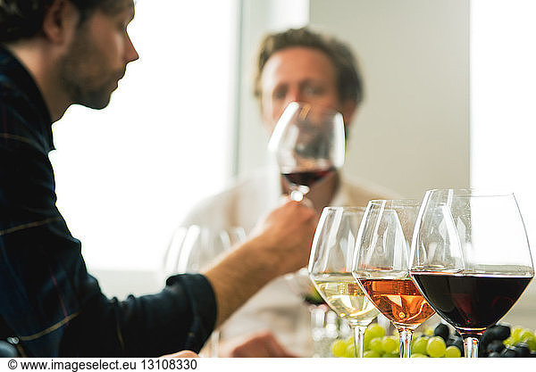Male friends having wine in tasting room