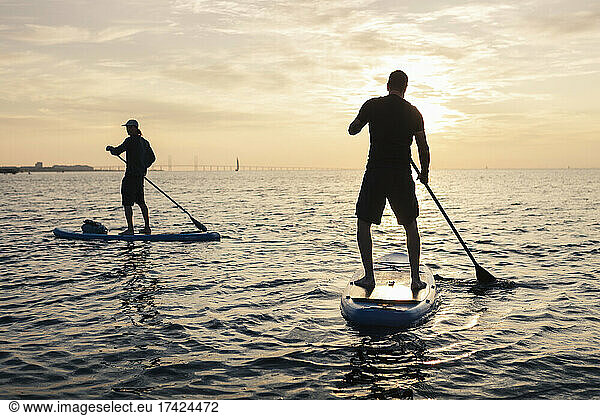 Male friends rowing paddleboard in sea