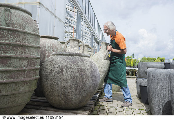 Male gardener arranging ceramic pots in greenhouse  Augsburg  Bavaria  Germany