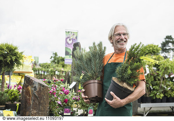 Male gardener holding plant pots and smiling  Augsburg  Bavaria  Germany