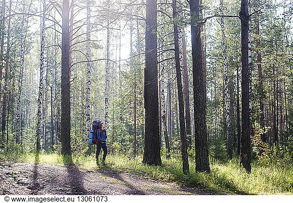 Male hiker with backpack walking by trees in forest