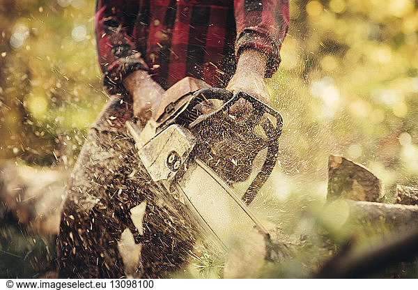 Male lumberjack cutting log in forest