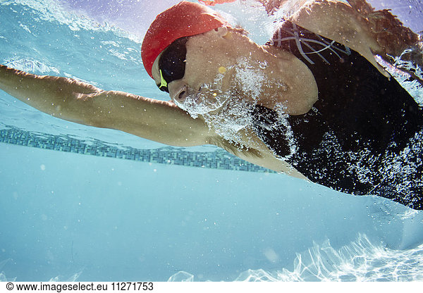 Male swimmer swimming underwater in swimming pool