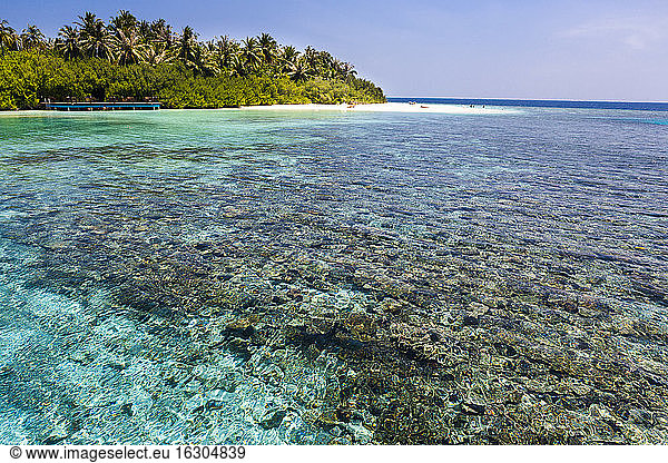 Malediven  Nord-Male-Atoll  Aisen  Korallen vor der Insel