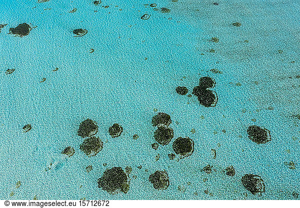 Malediven  Süd Male Atoll  Luftaufnahme des Korallenriffs