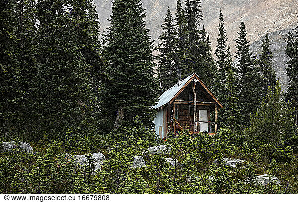 Malerische Ansicht einer Holzhütte in einem Nadelwald im Hochland