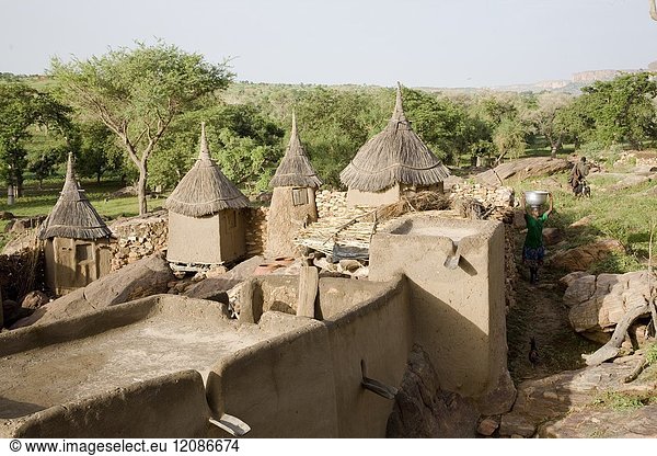 Mali,  Dogon Country. Dwellings and barns erected with wood,  adobe and stone in the village of Tireli,  below Bandiagara Escarpment.