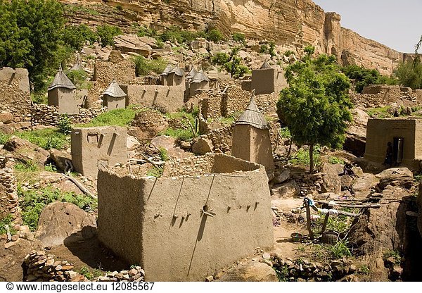 Mali. Dogon Country. Amani village. Dwellings and barns erected with wood  adobe and stone. On background is the rock face of Bandiagara escarpment.