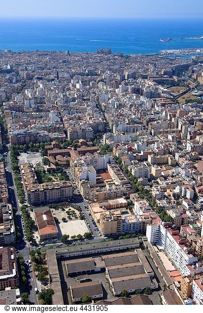 Mallorca Balearen Balearische Inseln Palma de Mallorca Spanien