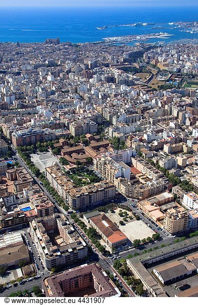 Mallorca Balearen Balearische Inseln Palma de Mallorca Spanien