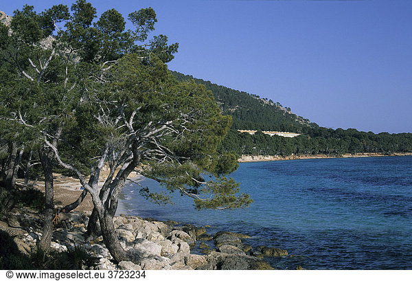 Mallorca Cap de Formentor Platja Playa Formentor