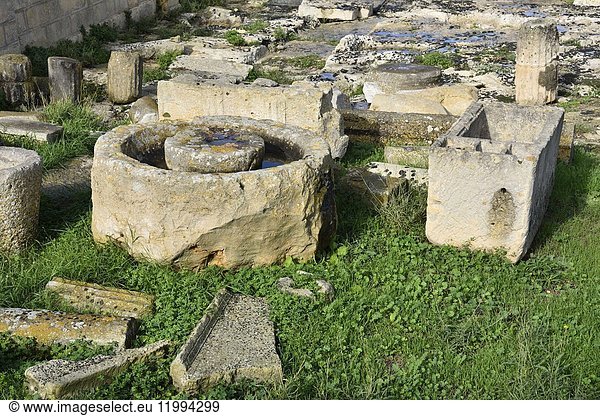 Malta  Rabat  Domus Romana museum  Roman ruins.