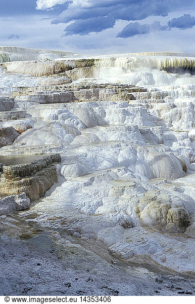 Mammoth Hot Springs  Yellowstone National Park  United States of America  America