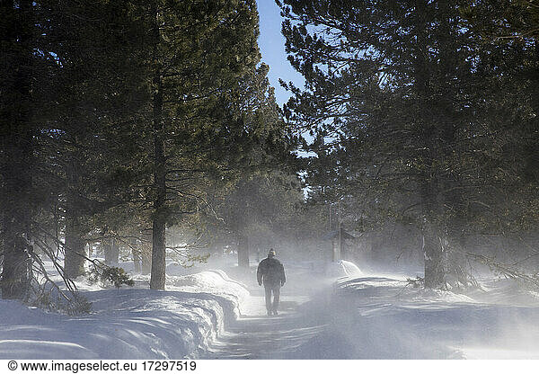 Mammoth Lakes is known for being windy during the winter.