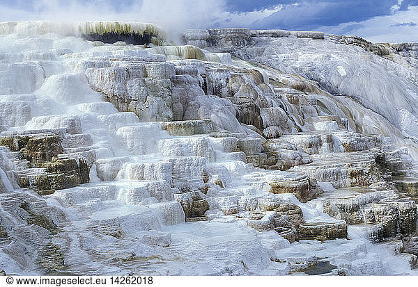 Mammoth  lower terraces  Yellowstone National Park  United States of America  America