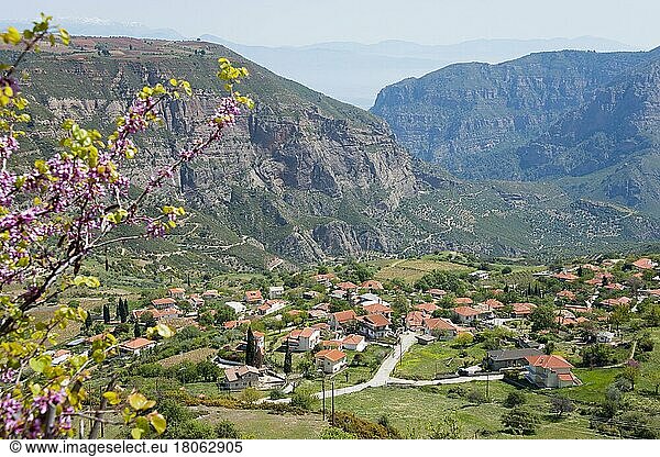 Mamousia  Achaia  Peloponnes  Griechenland  Europa