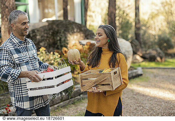 Man and woman carrying crates with freshly harvested organic vegetables talking at farm