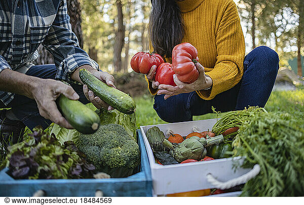 Man and woman taking vegetables from crate