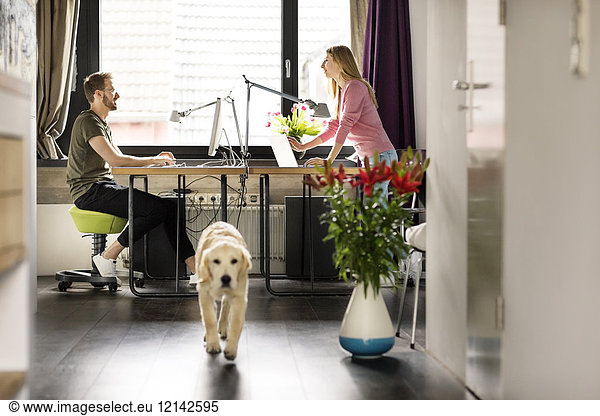 Man and woman with dog working at desk at home