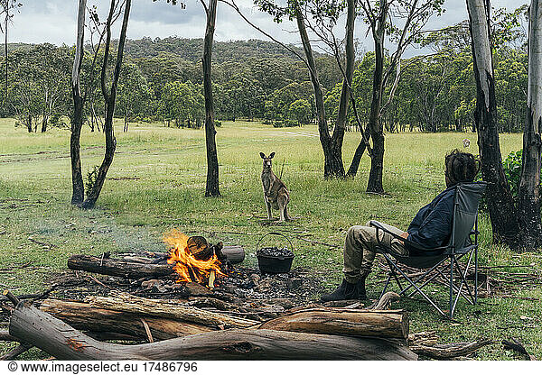 Man at campfire watching kangaroo  Australian bush